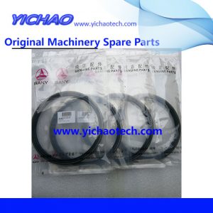 Sany 60099258 Seal Ring