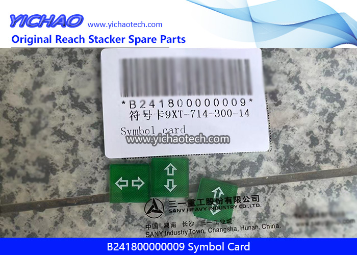 Sany B241800000009 Symbol Card for Container Reach Stacker Spare Parts