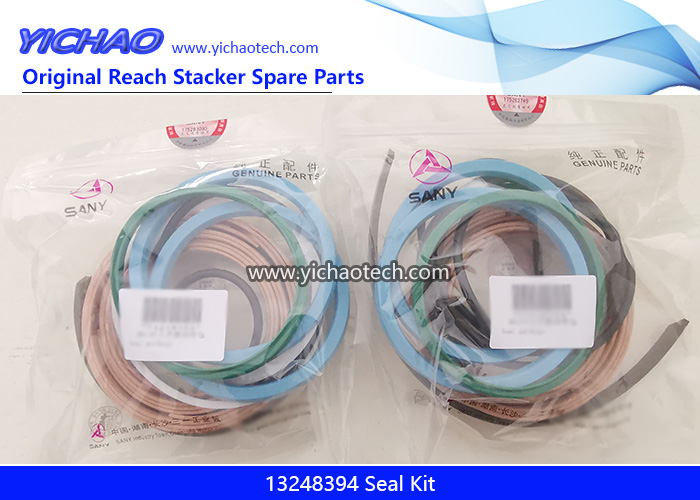 Sany 13248394 Seal Kit for Container Reach Stacker Spare Parts