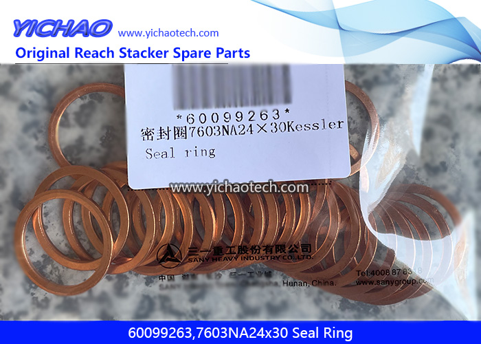 Sany 60099263,7603NA24x30 Seal Ring for Container Reach Stacker Spare Parts